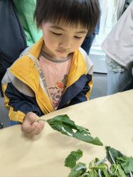-太湖雪蚕桑文化园