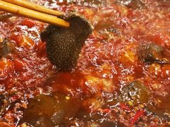 -朱氏胖子烂火锅(洪崖洞店)