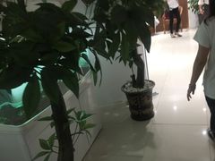 -健合堂中医养生·经络调理(天通苑旗舰店)