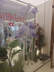 点击看大图 -深圳美莱医疗美容医院