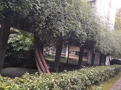 -四川大学(望江校区)