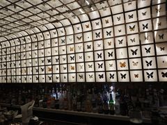 -145号U&Lounge Bar