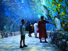 -华夏文旅海洋公园