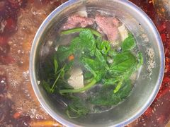 -金鼎雪山牦牛杂火锅(理县总店)