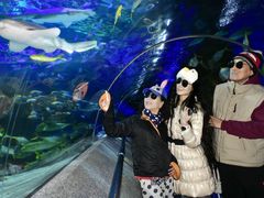 -大连圣亚海洋世界