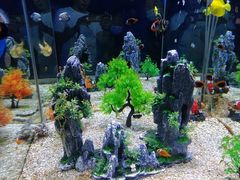 -烟台海昌鲸鲨海洋公园