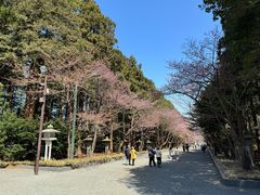-北海道神宫