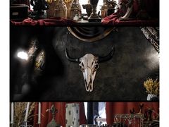 -雪灵魔法世界SHELLY’S TAROT(大良桂畔里店)