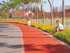 -上海长兴岛郊野公园