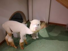 -藦茜花园宠物主题亲子互动体验馆(国顺东路店)