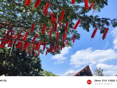 -鹿回头风景区