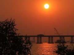 -宝安西湾红树林湿地公园