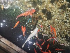 -聚缘堂·海鲜私房菜(松岭路店)