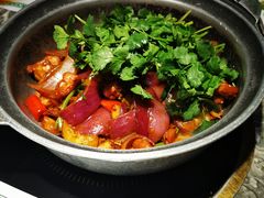 -禄婶鸡煲·打边炉