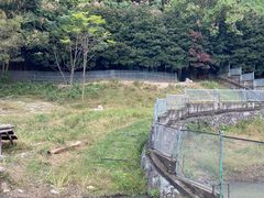 -宁波野生动物园