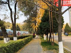 -东北大学(南湖校区)