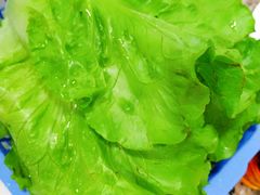 生菜-吉品莞家·鲍鱼鸡煲(东莞店)