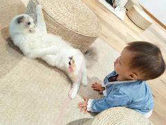 -瞄一喵猫咖(格力海岸店)