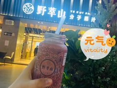 -野萃山·潮汕厚果汁(十亩地店)