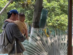 -宁波九龙湖开元度假村