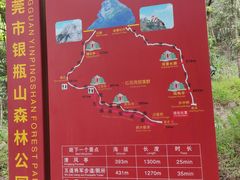 -银瓶嘴森林公园