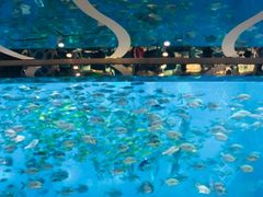 -瑞德姆美人鱼海底演艺主题餐厅(亚龙湾店)