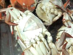 -东戴河风景区-止锚湾