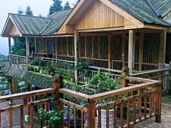 -铁山坪森林公园