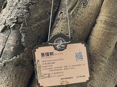 -南华禅寺