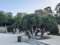 -丽池公园