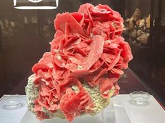 -湖南省地质博物馆