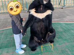 -东方熊牧场