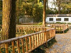 -西湖风景区十里琅珰-五云山