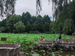 -堤角公园
