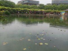 -嘉定紫藤园