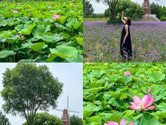 -渔岛海洋度假区