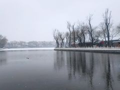-山东呛面馒头(鼓楼外大街店)