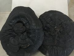 -广东中医药博物馆