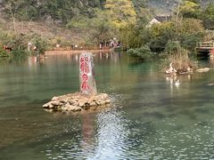 -靖西鹅泉风景区