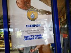 门面-Dooley's Premium Ice Cream