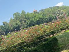 -紫马岭公园