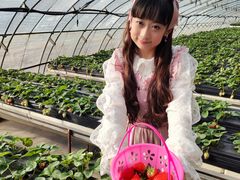 -甜心庄园·甜心草莓采摘园(西青中北店)