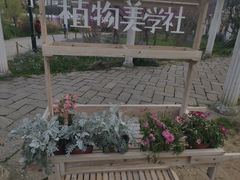 -苏州上方山国家森林公园