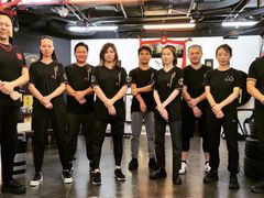 -温鉴良实用咏春拳
