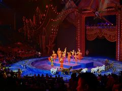 -珠海横琴长隆《卡卡虎奇遇记》