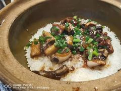 -红星光发煲仔饭(文海店)