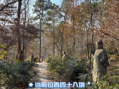 -南京老山国家森林公园