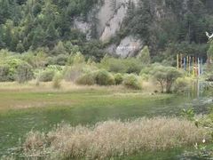 -九寨沟-树正沟