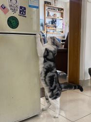 -长沙纹身·龙堂刺青·三土师傅的店