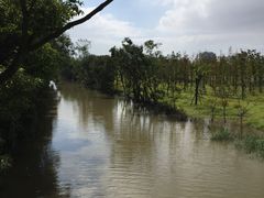 -上海长兴岛郊野公园
